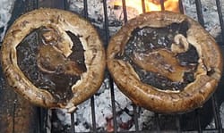 Grilled Portobello Mushrooms