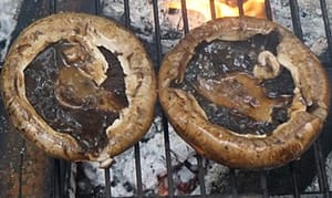 Grilled Portobello Mushrooms