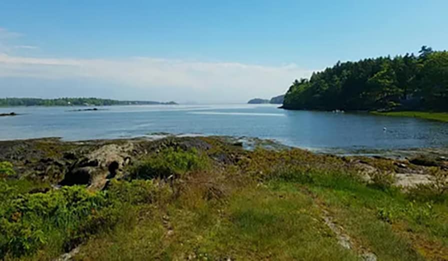 Best Campgrounds for nature and wildlife viewing - Sagadahoc Bay Best Campgrounds for nature and wildlife viewing - Sagadahoc Bay