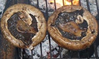 Grilled Marinated Portobello Mushrooms - New Life RV
